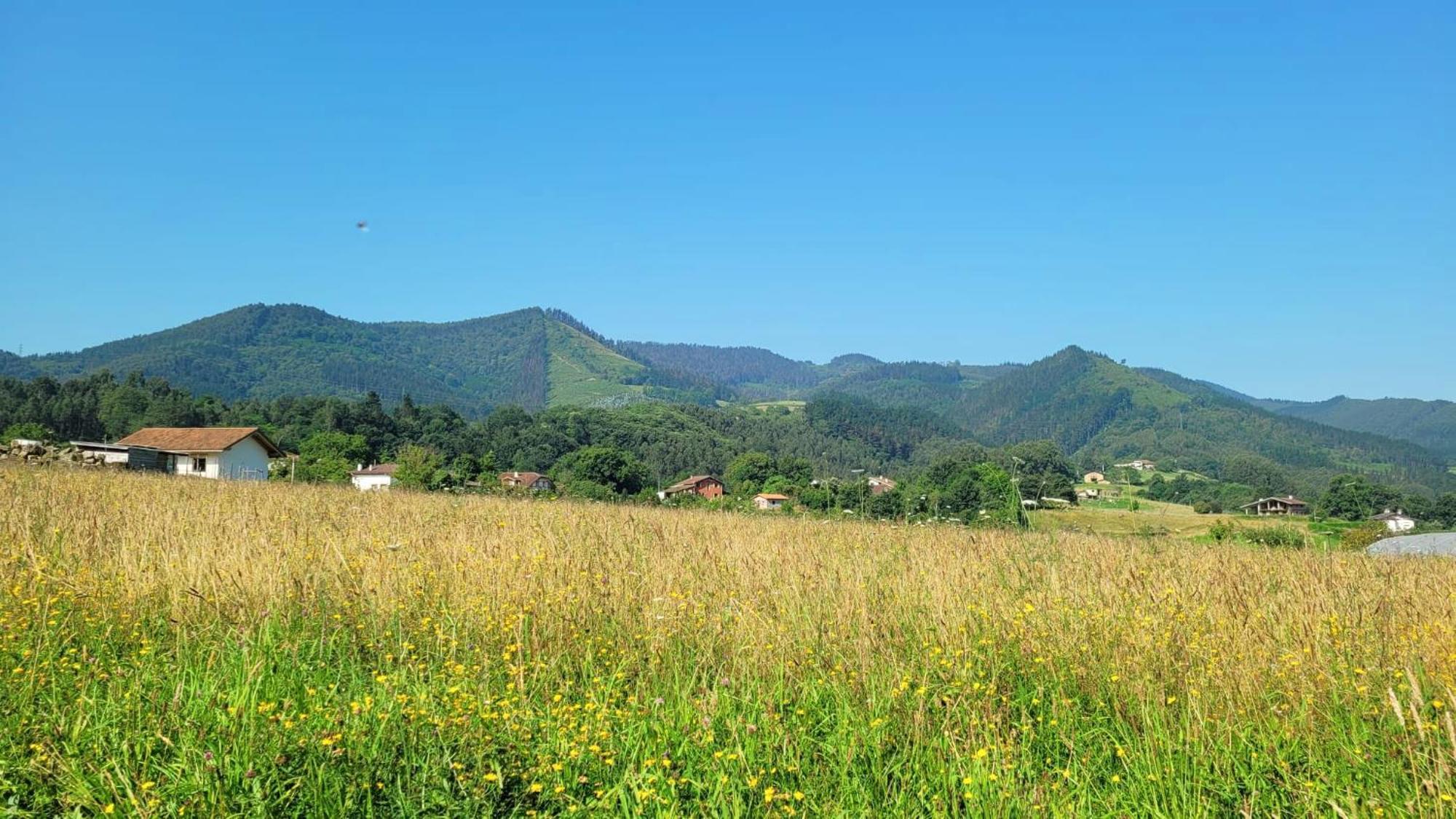 Hotel Aldori Landetxea - Reserva De La Biosfera Urdaibai - Adults Only Muxika Εξωτερικό φωτογραφία
